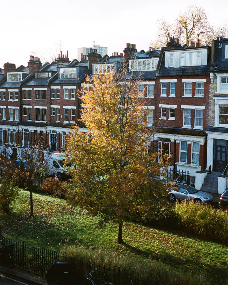 A tree with yellow leaves is in front of a brick building.